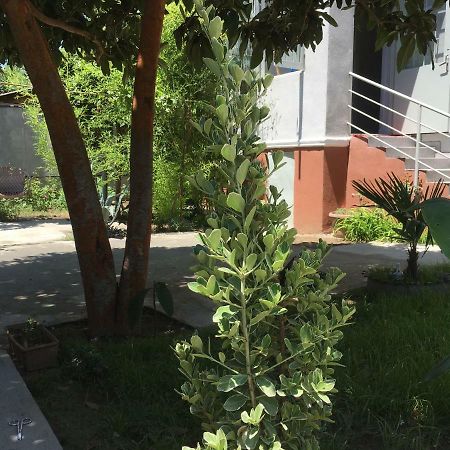Green House Tbilisi ภายนอก รูปภาพ